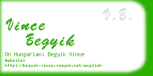 vince begyik business card